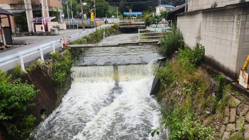 リアルタイム情報把握と迅速な情報提供